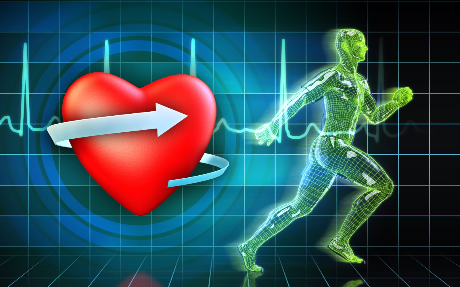 Visualisierung von Herzaktivität und körperlicher Belastung für TriAxis Stress im DZIP Hannover